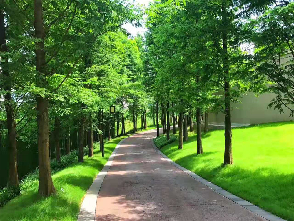 QQͼƬ20190915082203.jpg