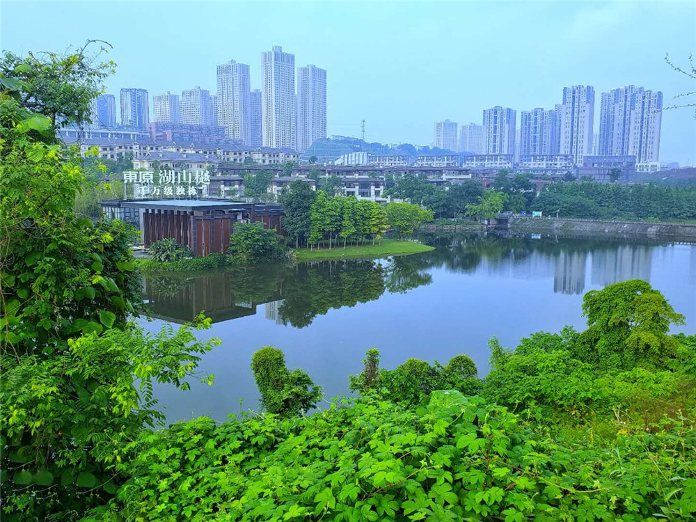 QQͼƬ20190915082341.jpg