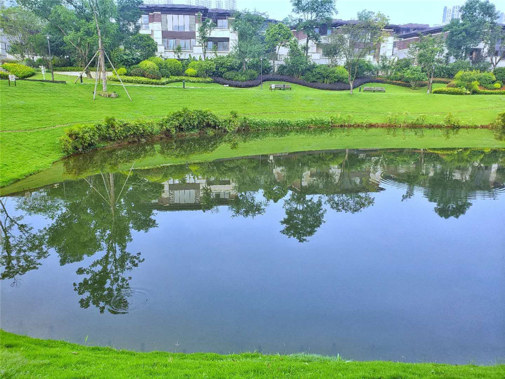QQͼƬ20190915082344.jpg