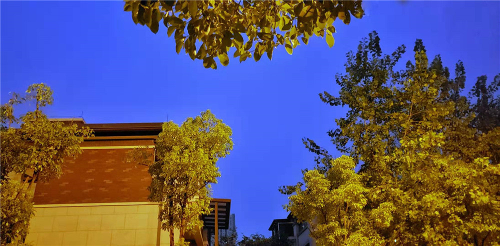 QQͼƬ20190915082859.jpg