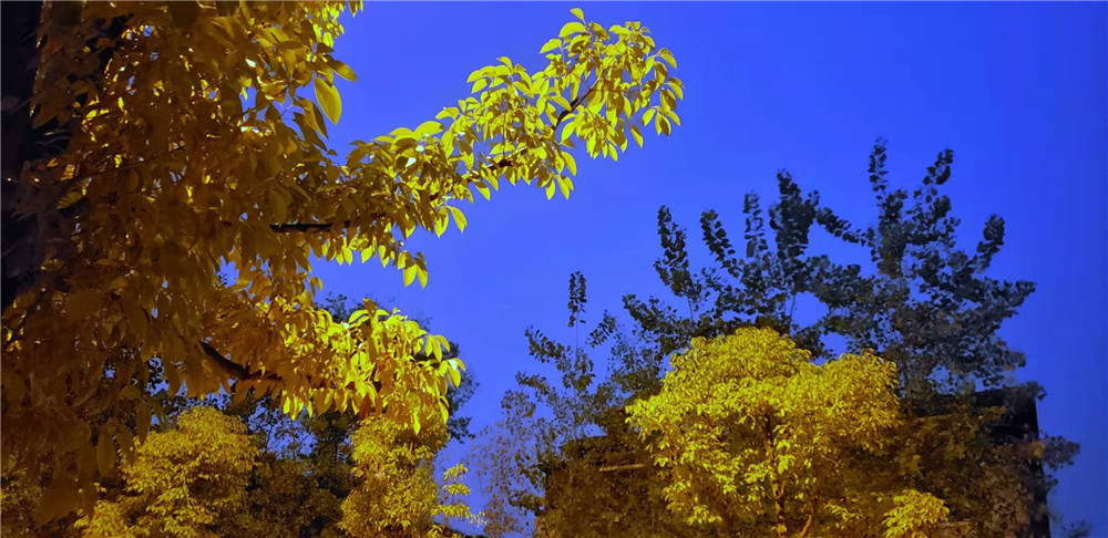 QQͼƬ20190915082917.jpg