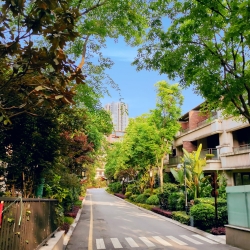 在照母山，从来不缺少美，只