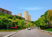 在照母山，从来不缺少美，只是缺少记录和发现