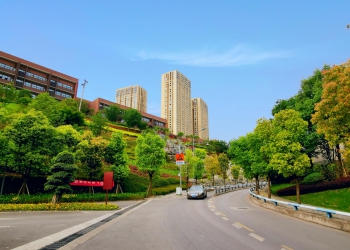 在照母山，从来不缺少美，只是缺少记录和发现