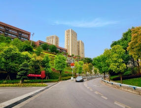在照母山，从来不缺少美，只是缺少记录和发现