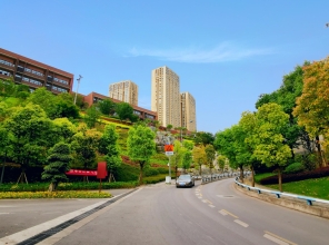 在照母山，从来不缺少美，只是缺少记录和发现