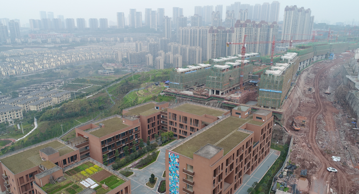 QQ图片20190525232929_副本.png