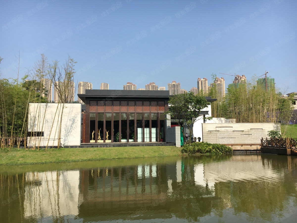 b_380580808.jpg
