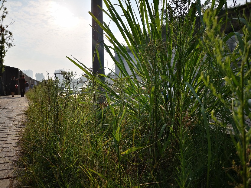 IMG_20190923_083247.jpg