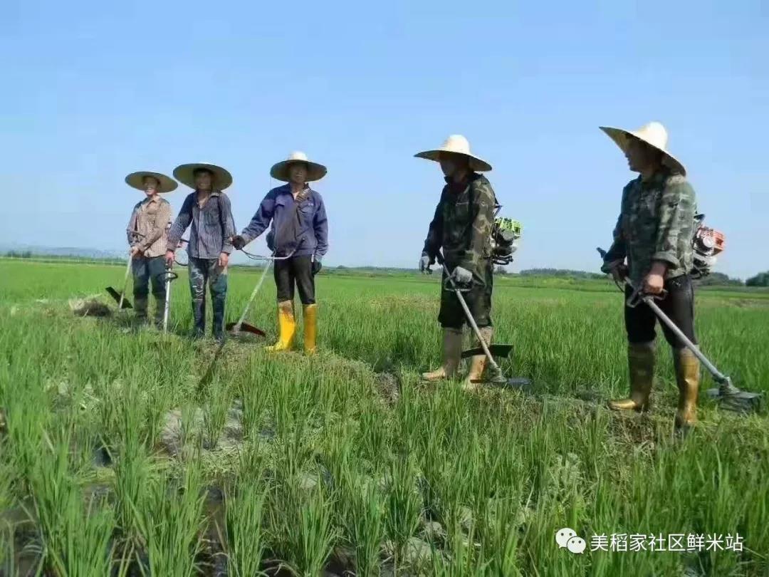 微信图片_20191210161316.jpg