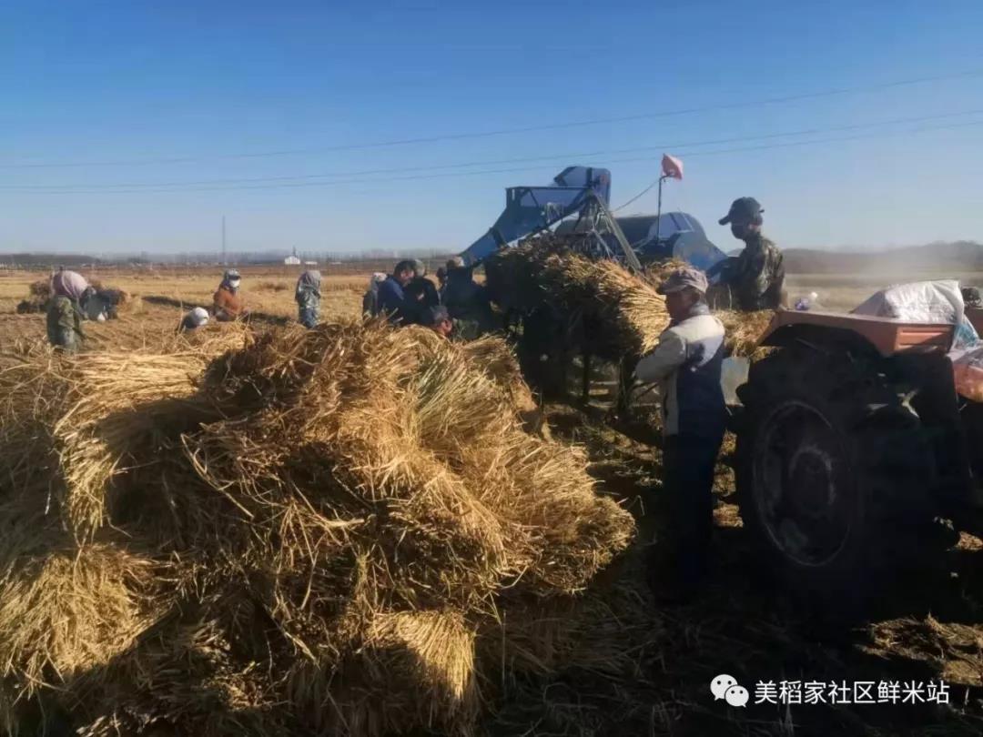 微信图片_20191210161324.jpg