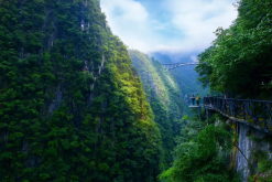 五一研学活动内容393.png